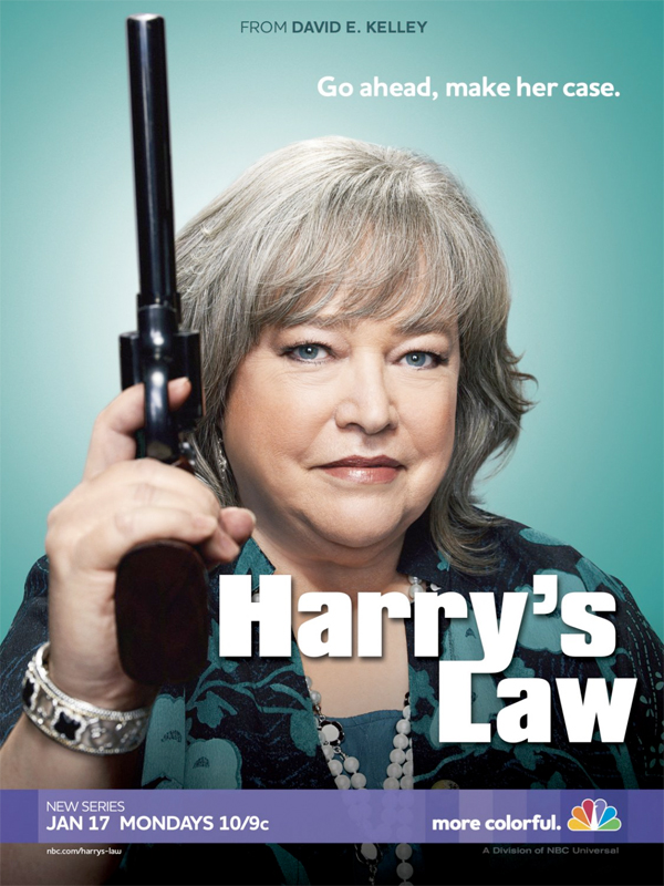 Serie TV Harry's Law immagine di copertina