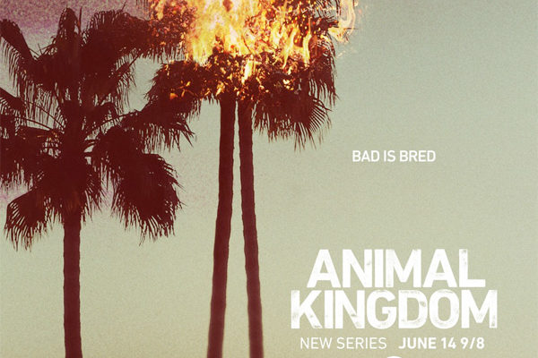 Serie TV Animal Kingdom immagine di copertina